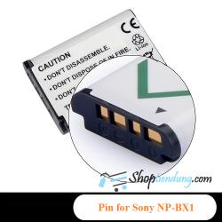 Pin for Sony NP-BX1