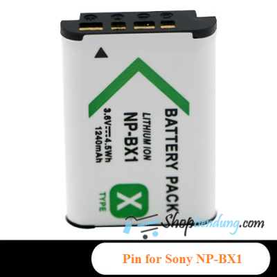 Pin for Sony NP-BX1